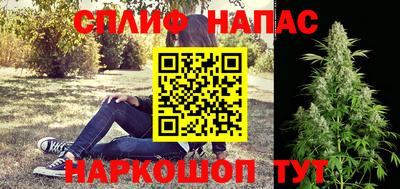 ECSTASY Будённовск